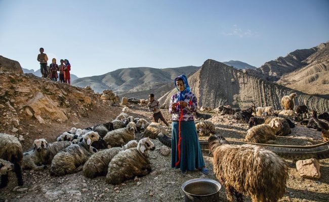 أهداف مشروع توطين البادية