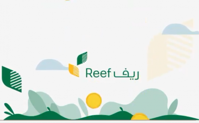 شروط الدعم الريفي
