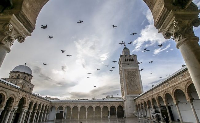 في اي مدينه يقع جامع الزيتون