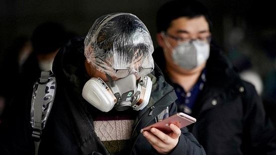 تبرئة السلمون من التسبب في تفشي كورونا