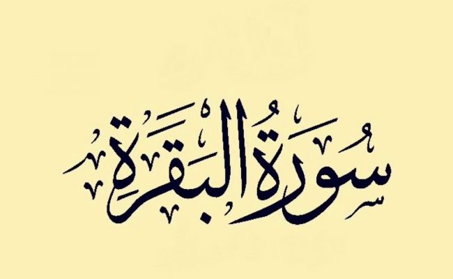 تجربتي مع قيام الليل بسورة البقرة