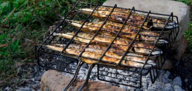 تفسير رؤية السمك المشوي في المنام للعزباء