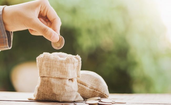 كم مقدار زكاة الفطر للحامل