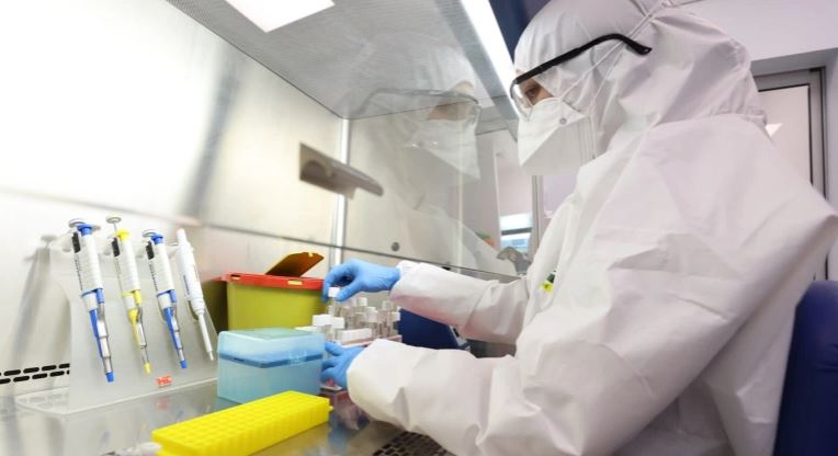 d983d988d8b1d988d986d8a7-1-1