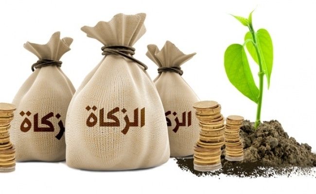 هل تجوز الزكاة على الاقارب 