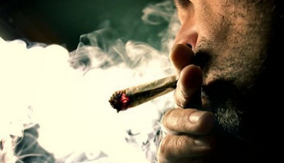 إمبراطورية الحشيش.. أو حين تتوحش الرأسمالية