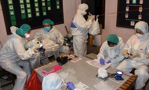 تايلاند تفحص 100 خفاش