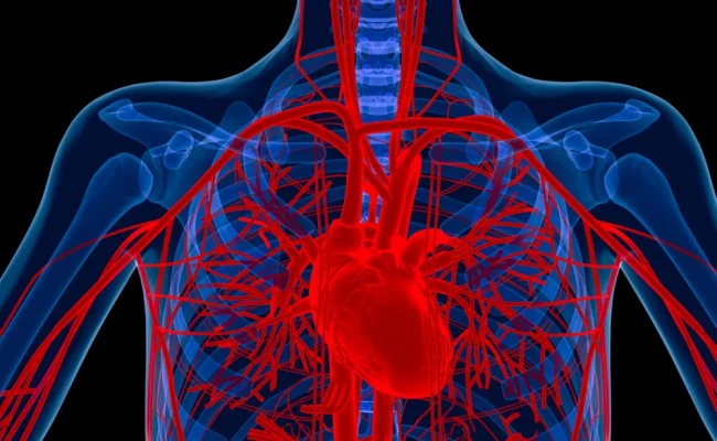 حالات شفيت من نقص الصفائح الدموية