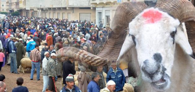 عيد الأضحى بالمغرب