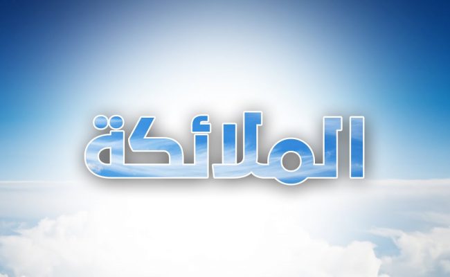 كم عدد حملة العرش
