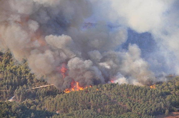 images_7adit-ssora_resized_foret-incendie-1