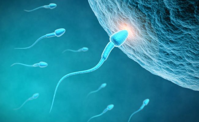 أسباب فشل تعشيش البويضة
