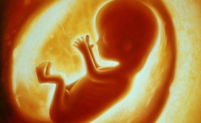 اسباب تأخر ظهور الجنين في الكيس