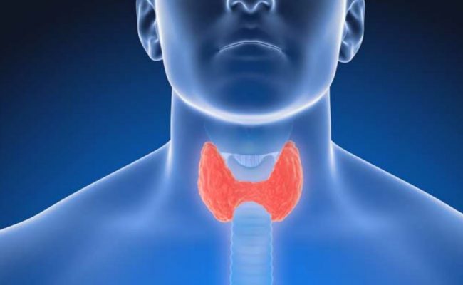 الأكلات الممنوعة لمرضى خمول الغدة الدرقية