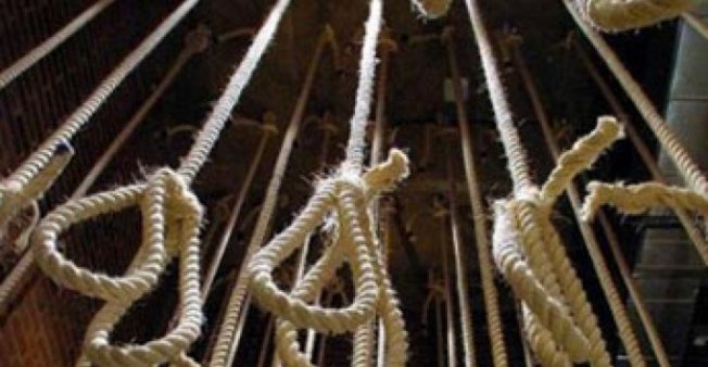 d8a7d986d8aad8add8a7d8b1-d8a7d984d8a3d8b7d981d8a7d984-1-1