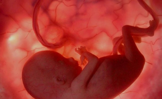 حركة الجنين في الشهر التاسع