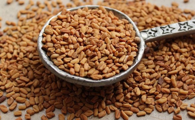 متى يبان مفعول الحلبة للتسمين
