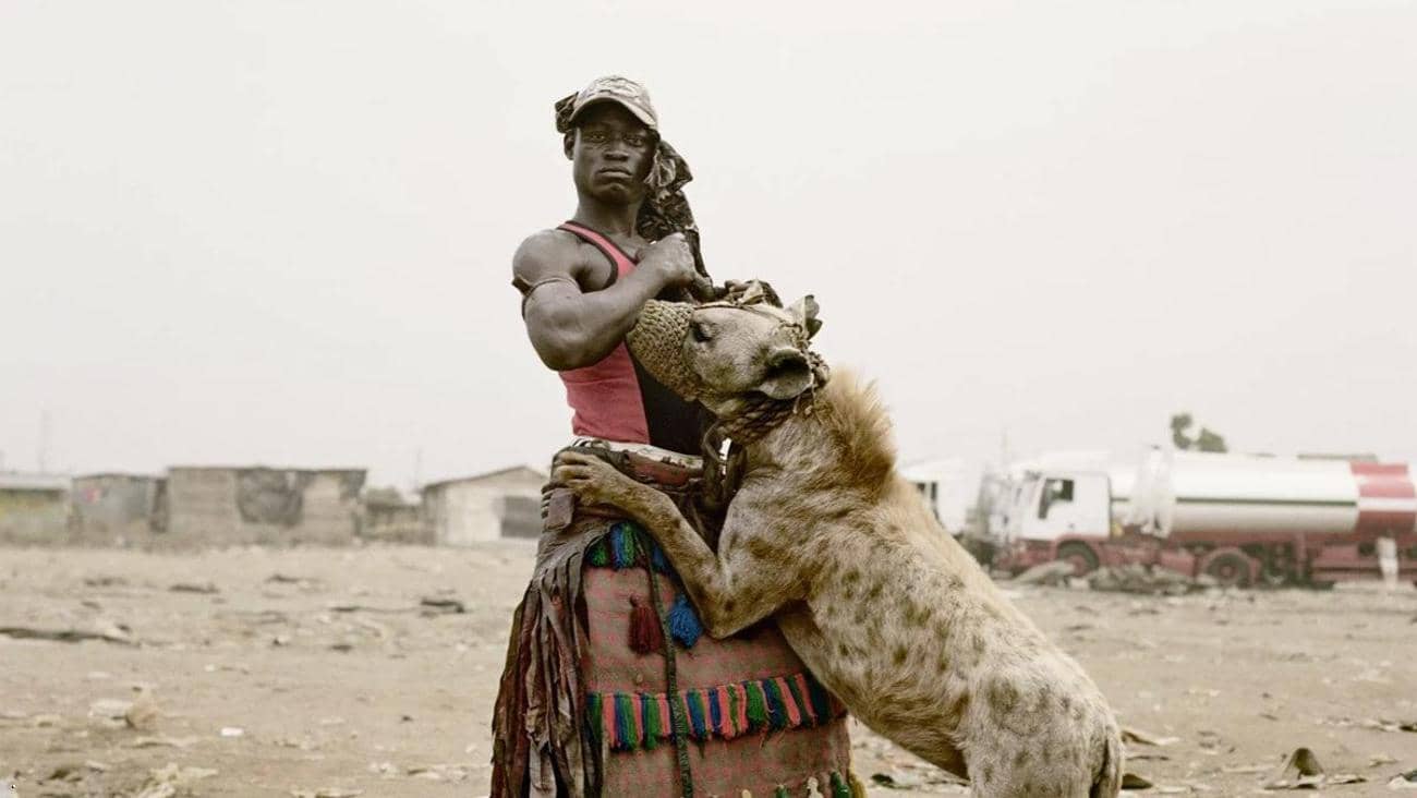 d8b1d8acd8a7d984-d8a7d984d8b6d8a8d8a7d8b9-1