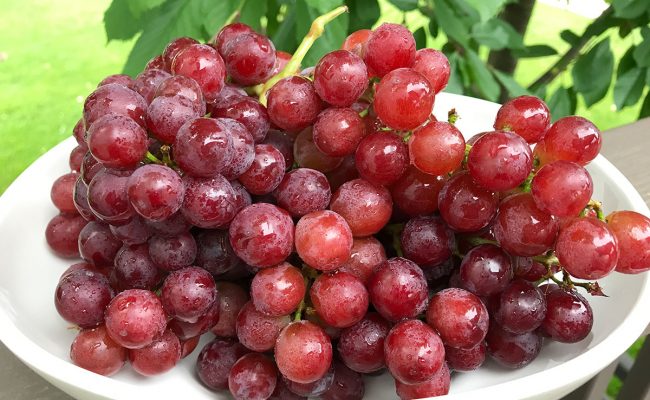 فوائد العنب الأحمر قبل النوم