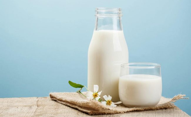 فوائد حليب البروتين ندى