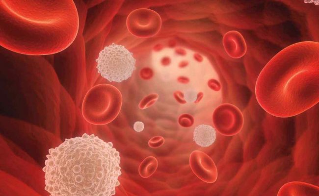 ما هو تحليل RBC