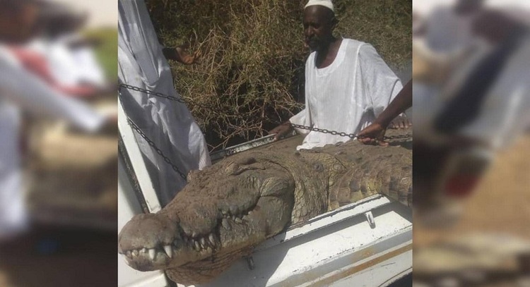 d985d8b2d8a7d8b1d8b9-d8b3d988d8afd8a7d986d98a-1