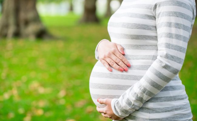 معلومات عن الحمل بتوأم