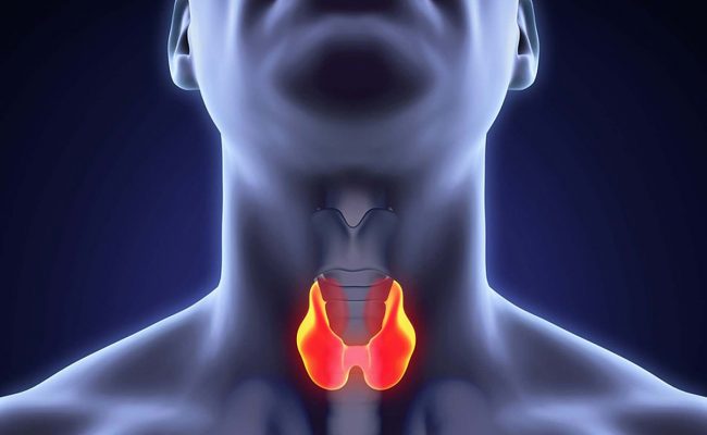 هل خمول الغدة الدرقية مرض خطير