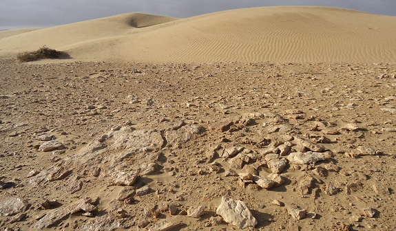 images_filaha_001 الحافي: لاوجود لإجابة واحدة للمشاكل المتعددة لتدهور الأراضي