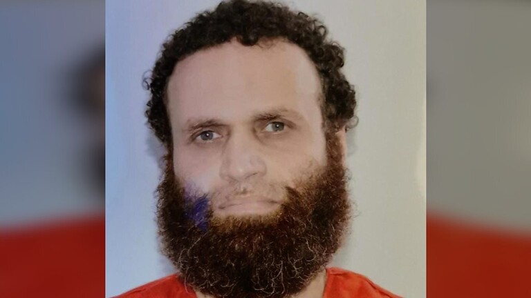 main_image5ec8bda9882ea-1 فيديو لحظة إعدام هشام عشماوي