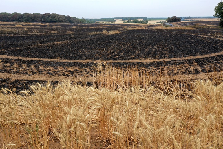 Aftermath Of UK Wildfires