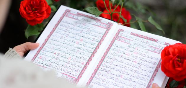 تعريف العقيدة تعريف العقيدة
