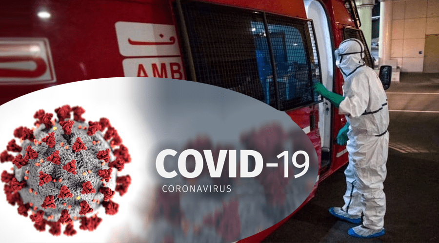 d983d988d8b1d988d986d8a7-2