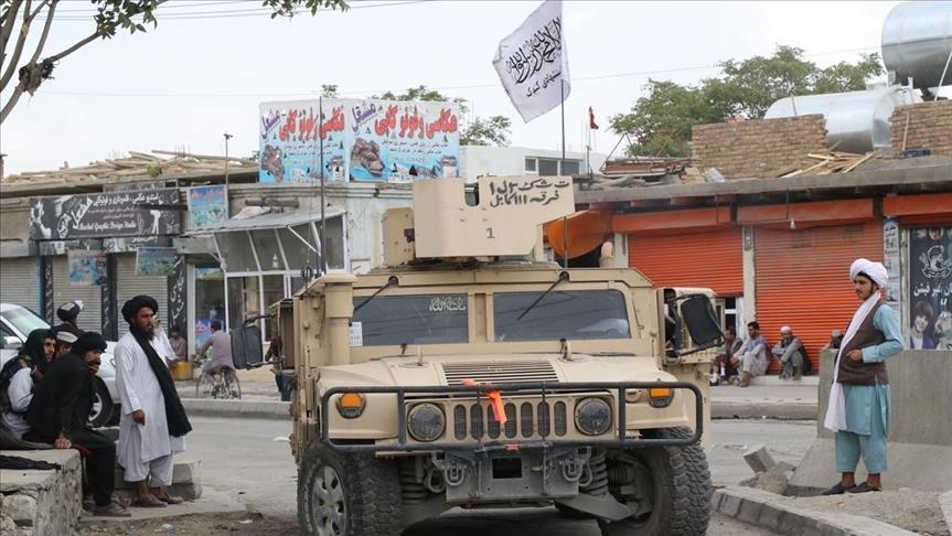 الدنمارك: لن نعترف بأي حكومة لـ"طالبان"